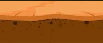 Desert Gold